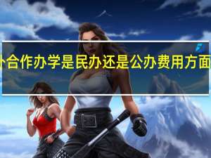 中外合作办学是民办还是公办费用方面有啥说道