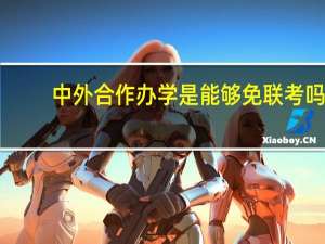 中外合作办学是能够免联考吗