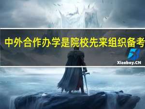中外合作办学是院校先来组织备考的吗