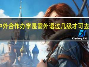 中外合作办学是需外语过几级才可去申报吗