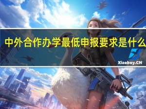 中外合作办学最低申报要求是什么学历