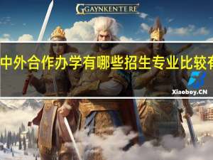 中外合作办学有哪些招生专业比较有前景