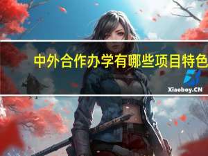 中外合作办学有哪些项目特色