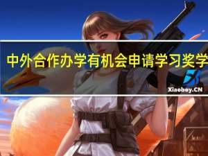 中外合作办学有机会申请学习奖学金吗