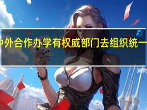 中外合作办学有权威部门去组织统一考试吗