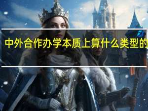 中外合作办学本质上算什么类型的教育