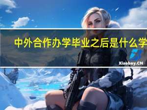 中外合作办学毕业之后是什么学历