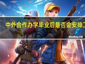 中外合作办学毕业后是否会安排工作