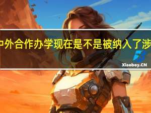 中外合作办学现在是不是被纳入了涉外教育