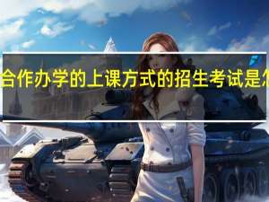 中外合作办学的上课方式的招生考试是怎么进行的