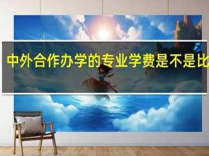 中外合作办学的专业学费是不是比较高