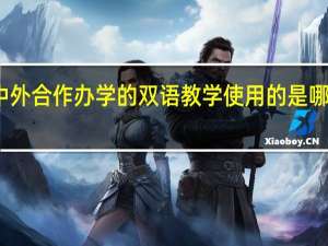 中外合作办学的双语教学使用的是哪个语种