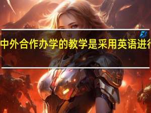 中外合作办学的教学是采用英语进行的吗