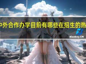 中外合作办学目前有哪些在招生的热门专业