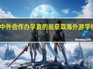 中外合作办学真的能获取海外游学机会吗