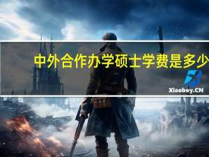 中外合作办学硕士学费是多少