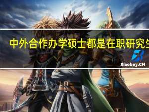 中外合作办学硕士都是在职研究生吗