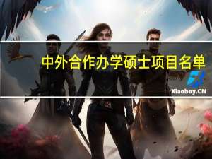 中外合作办学硕士项目名单
