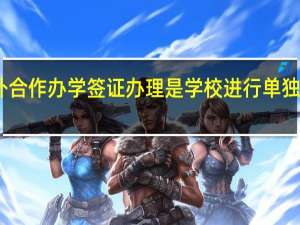 中外合作办学签证办理是学校进行单独说明的吗