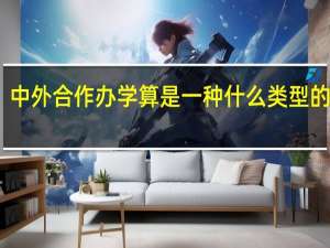 中外合作办学算是一种什么类型的课程