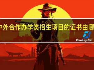 中外合作办学类招生项目的证书由哪边发放