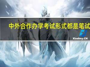 中外合作办学考试形式都是笔试吗