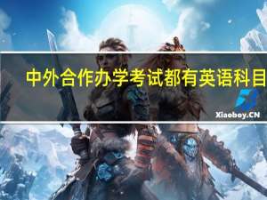 中外合作办学考试都有英语科目吗