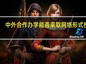 中外合作办学能否采取网络形式授课