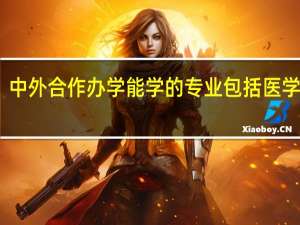 中外合作办学能学的专业包括医学类吗