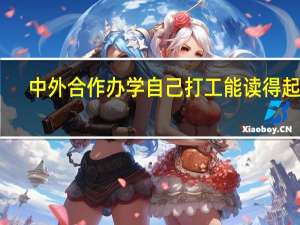 中外合作办学自己打工能读得起吗