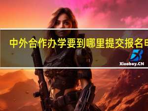 中外合作办学要到哪里提交报名申请