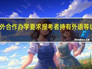 中外合作办学要求报考者持有外语等级证书吗