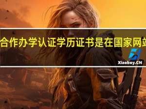 中外合作办学认证学历证书是在国家网站进行的吗