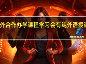 中外合作办学课程学习会有纯外语授课阶段吗