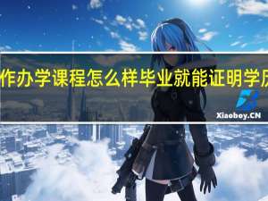 中外合作办学课程怎么样毕业就能证明学历有所升级吗