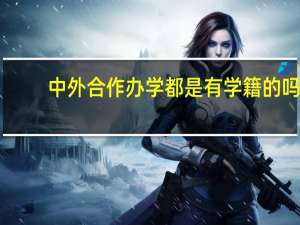 中外合作办学都是有学籍的吗