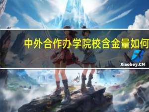 中外合作办学院校含金量如何