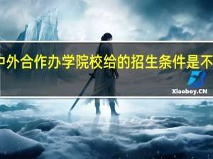中外合作办学院校给的招生条件是不是很高