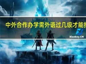 中外合作办学需外语过几级才能报吗