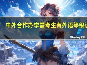 中外合作办学需考生有外语等级证吗