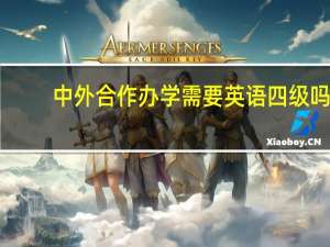 中外合作办学需要英语四级吗
