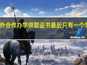 中外合作办学领取证书最后只有一个学位证吗