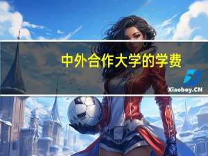 中外合作大学的学费