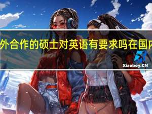 中外合作的硕士对英语有要求吗在国内认可吗