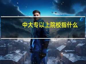 中大专以上院校指什么