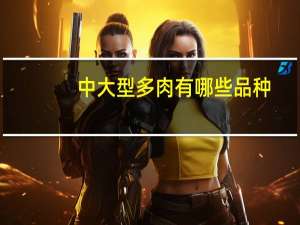 中大型多肉有哪些品种