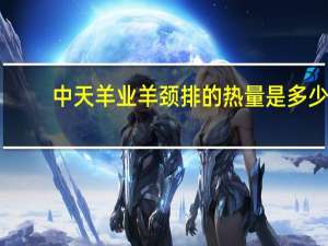 中天羊业 羊颈排的热量是多少