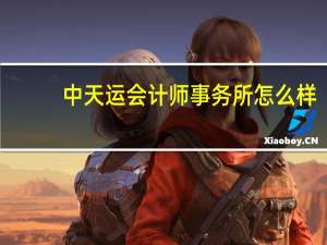 中天运会计师事务所怎么样