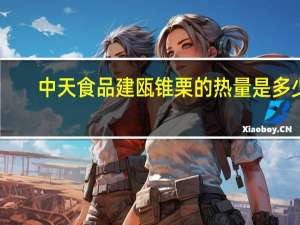 中天食品 建瓯锥栗的热量是多少