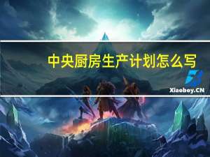 中央厨房生产计划怎么写